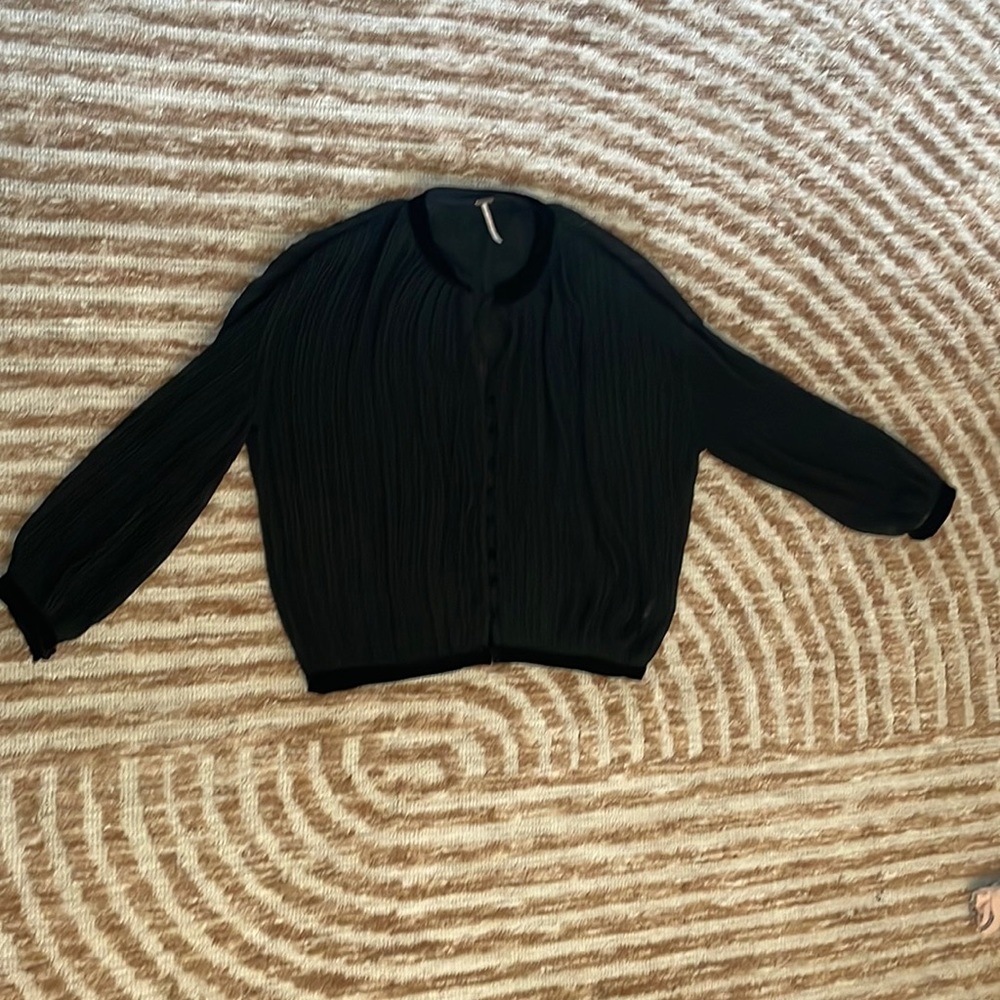 Free People Long-Sleeve Sheer Top